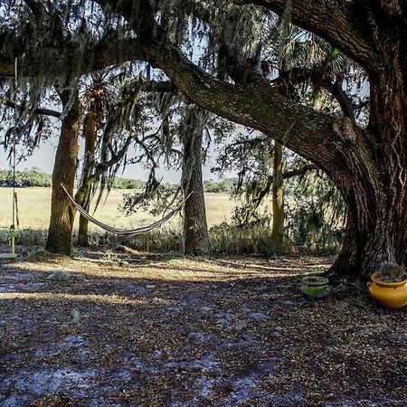 Secluded Tiny House By The Marsh With Hunting Island Beach Pass Frogmore Exterior photo